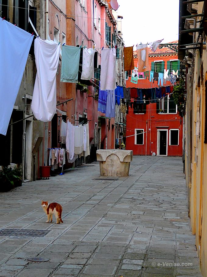corte colone et margelle de puit du XVe siècle Venise