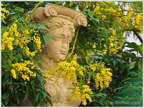 Afficher limage dorigine