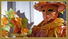 Masques et costumes du Carnaval de Venise 2012 le jour du mardi gras
