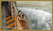 Vidéos des lignes de Vaporetto de Venise