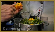 La glace à la roquette et aux oranges, à la gelateria Alaska à Venise.