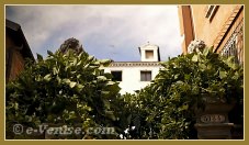La jupe de feuilles des deux petits lions du Campo del Tiziano, toute soulevée par le vent ! Dans le sestier du Cannaregio à Venise.