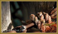 Chaînes et cordages, sur les Fondamente Nove, dans le sestier du Cannaregio à Venise.