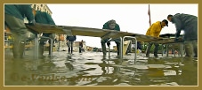 Acqua Alta Venise 1er Nov. 2012 : L'installation des passerelles piétons sur la Riva degli Schiavoni. Elles avaient dû être démontées dans la nuit, le niveau de l'eau était tellement monté que les planches commençaient à flotter... dans le Sestier du Castello à Venise.