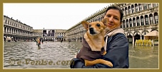 Acqua Alta Venise 1er Nov. 2012 : Toutou bien au sec dans les bras de sa maîtresse, sur la Piazza San Marco, au centre des Procuratie Nove et Vechie, dans le Sestier de Saint Marc à Venise.