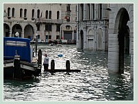 Acqua Alta record du 1er Décembre 2008 à Venise : L'Erbaria ou plutôt ce qu'il en restait, dans le sestier de San Polo.