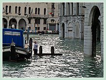 Acqua Alta record du 1er Décembre 2008 à Venise : L'Erbaria ou plutôt ce qu'il en restait