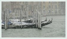 Vidéos Brouillard, Neige et Acqua Alta à Venise