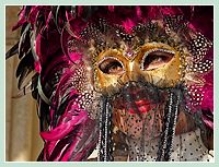 Carnaval de Venise : chatte emplumée