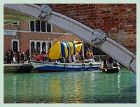 Carnaval de Venise 2009 Voga alla Veneta : le retour du poisson jaune à rayures.