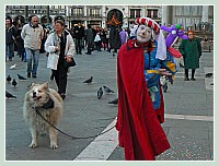 Carnaval de Venise 2008 - Masques et Costumes