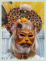 Carnaval de Venise 2008 - Masques et Costumes