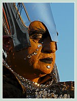 Carnaval de Venise 2008 - Masques et Costumes