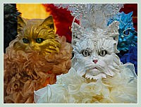 Carnaval de Venise 2010 - Masques et Costumes