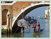 Carnaval de Venise 2010 - Le Carnaval en bateau des Vénitiens et le vol de la Pantegana