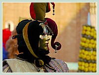 Masques et Costumes du Carnaval de Venise 2010 : de toutes les couleurs !