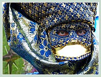 Masques et Costumes du Carnaval de Venise 2010 : de toutes les couleurs !