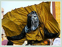 Masques et Costumes du Carnaval de Venise 2010 : de toutes les couleurs !