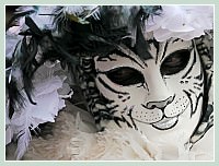 Masques et Costumes du Carnaval de Venise 2010 : de toutes les couleurs !