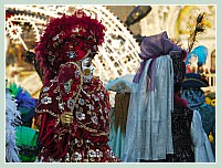Carnaval de Venise 2010 : Plumes et Paillettes !