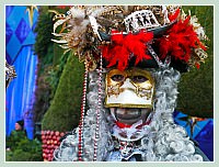Carnaval de Venise 2010 : Plumes et Paillettes !