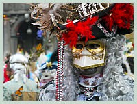 Carnaval de Venise 2010 : Plumes et Paillettes !