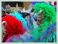 Carnaval de Venise 2010 : Plumes et Paillettes !