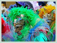 Carnaval de Venise 2010 : Plumes et Paillettes !