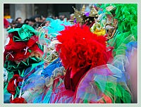 Carnaval de Venise 2010 : Plumes et Paillettes !