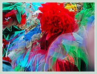 Carnaval de Venise 2010 : Plumes et Paillettes !