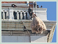 Carnaval Venise 2010 : Le Vol de l'Ange du haut du Campanile de Saint Marc