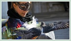 Les Masques du Carnaval de Venise 2011