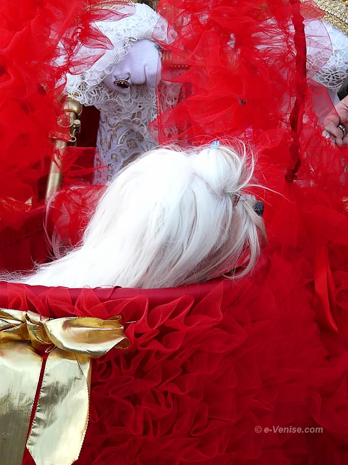 equipage chien piazzetta san marco carnaval de venise 2008