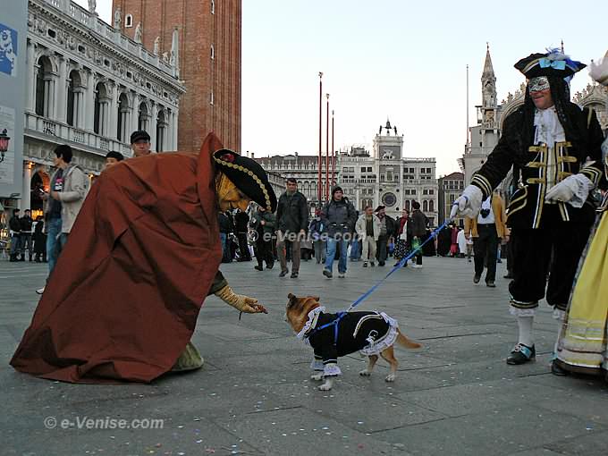 carnaval de venise 2008 piazzetta san marco chien déguisé