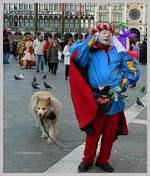 Cliquez ICI pour accéder à la page qui contient cette photo agrandie