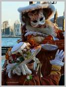 Photos du Carnaval de Venise 2008 - Les Costumes de Carnaval des Nobles de Venise