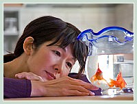 “Kingyo” avec Amane Kudo