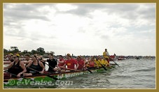 Vogalonga Venise 2012 - La 38e Vogalonga de Venise Venezia Venice Venedig Venecia