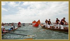 Vogalonga Venise 2012 - La 38e Vogalonga de Venise Venezia Venice Venedig Venecia