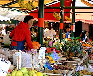Les couleurs et la vie de l'Erbaria