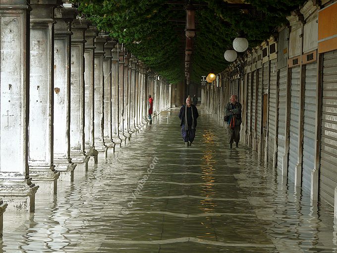 procuratie vechie acqua alta aqua venise