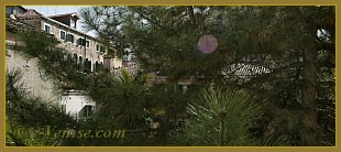 La vue sur les jardins intérieurs depuis l'appartement Canossiane Antonin à Venise.