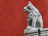 Détail du lion assis gauche du balcon du Palazzo Bragadin Carabba à Venise,  façade donnant sur le rio de San Lio