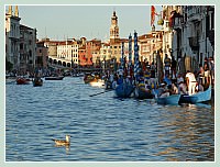 La Regate Historique de Venise 2009, la Regata Storica : Après le défilé du cortège historique et sportif, les bateaux des participants s'amarrent les uns aux autres le long du Grand Canal pour voir passer les régates