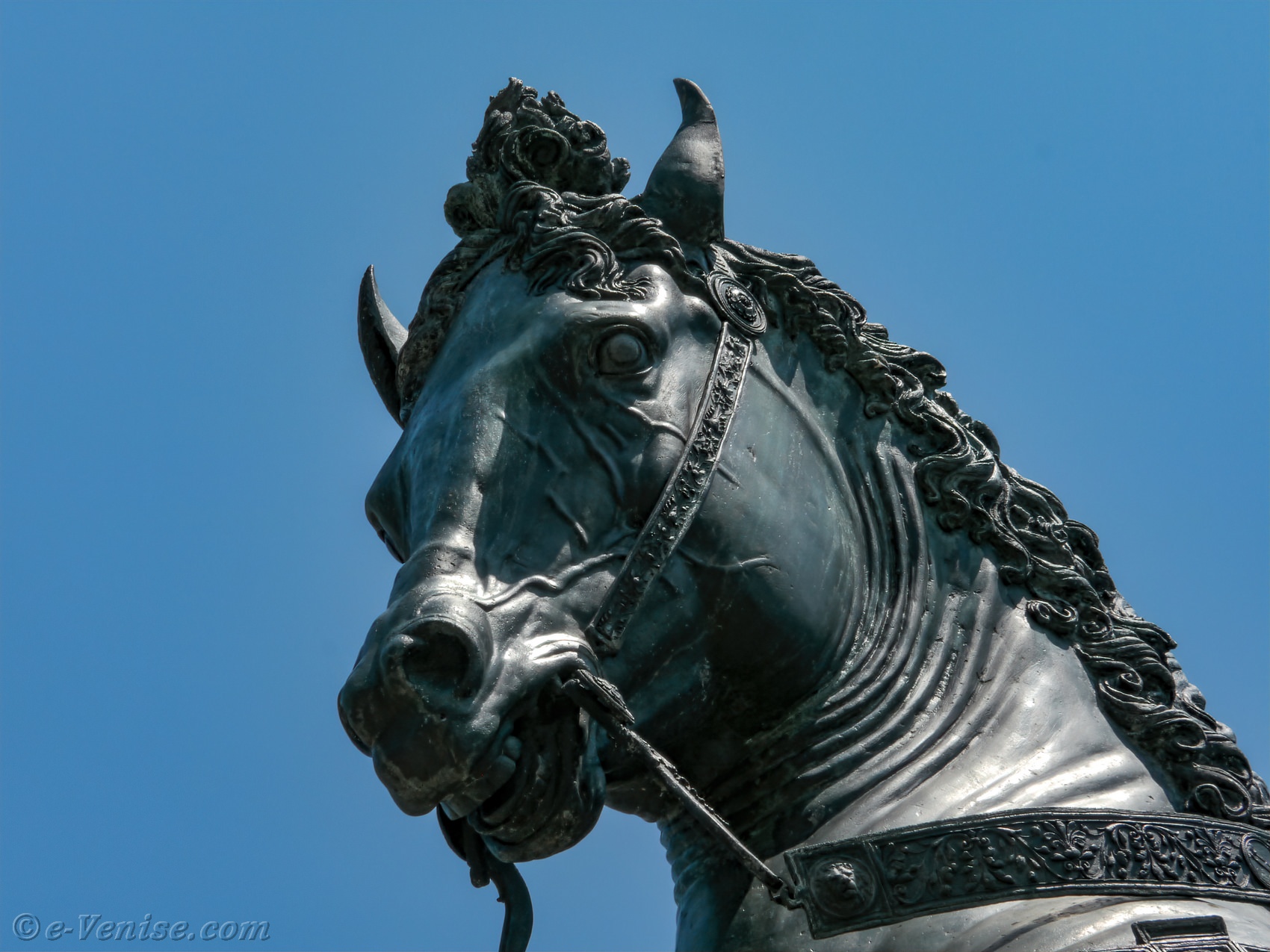 Bartolomeo colleoni deals